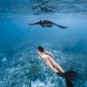 Manta Point Snorkeling Trip
