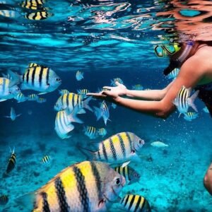 Combination West Snorkeling Tour